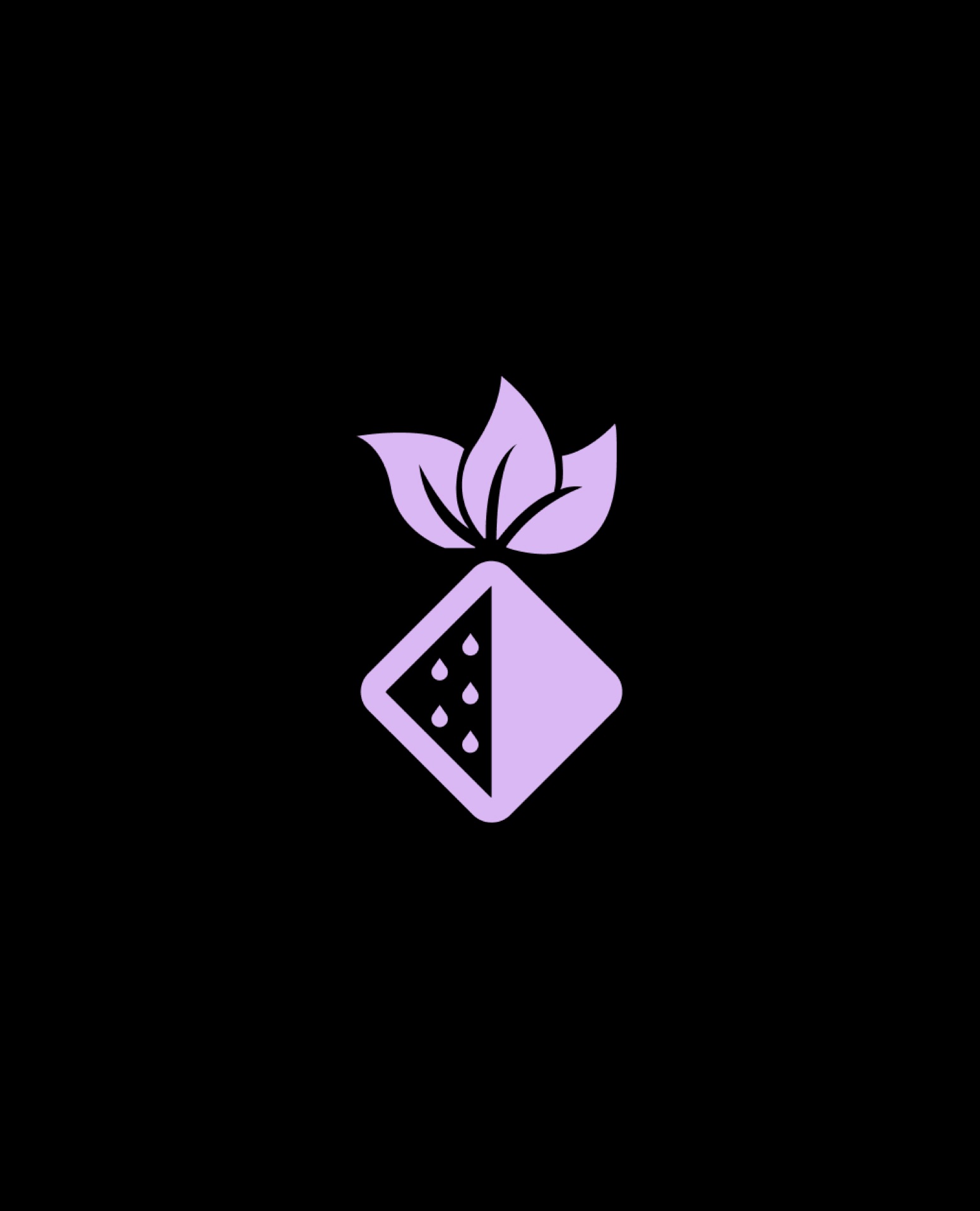 Айдентика для Berry Smoke